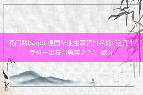 澳门赌城app 德国毕业生薪资排名榜: 这几个专科一出校门就年入7万+欧元