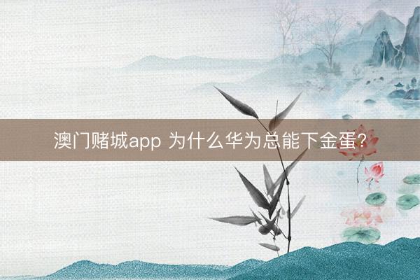 澳门赌城app 为什么华为总能下金蛋?