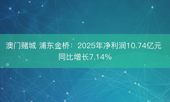 澳门赌城 浦东金桥：2025年净利润10.74亿元 同比增长7.14%